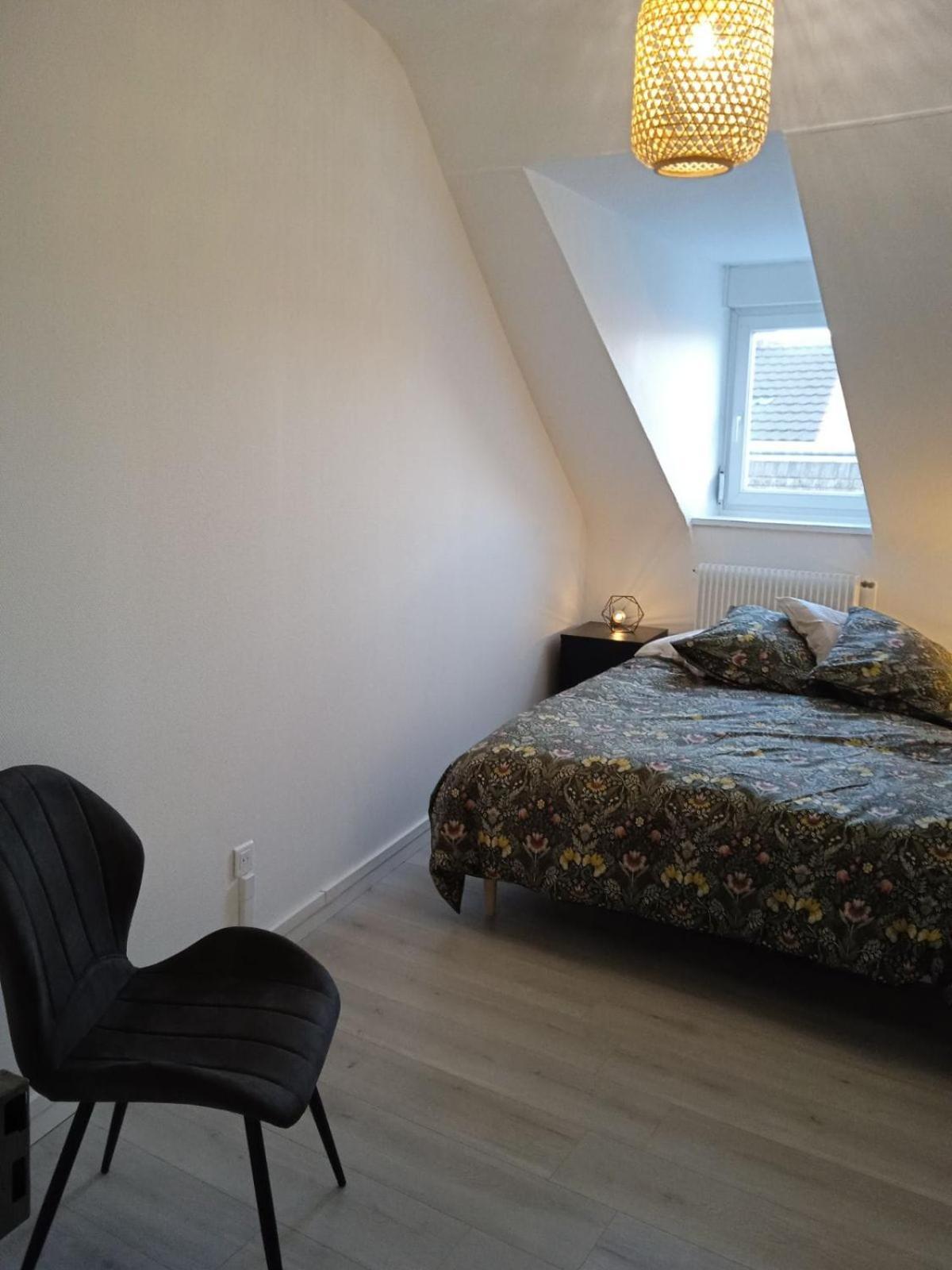 La Mulhousienne F3 Centre Ville Mulhouse Kültér fotó