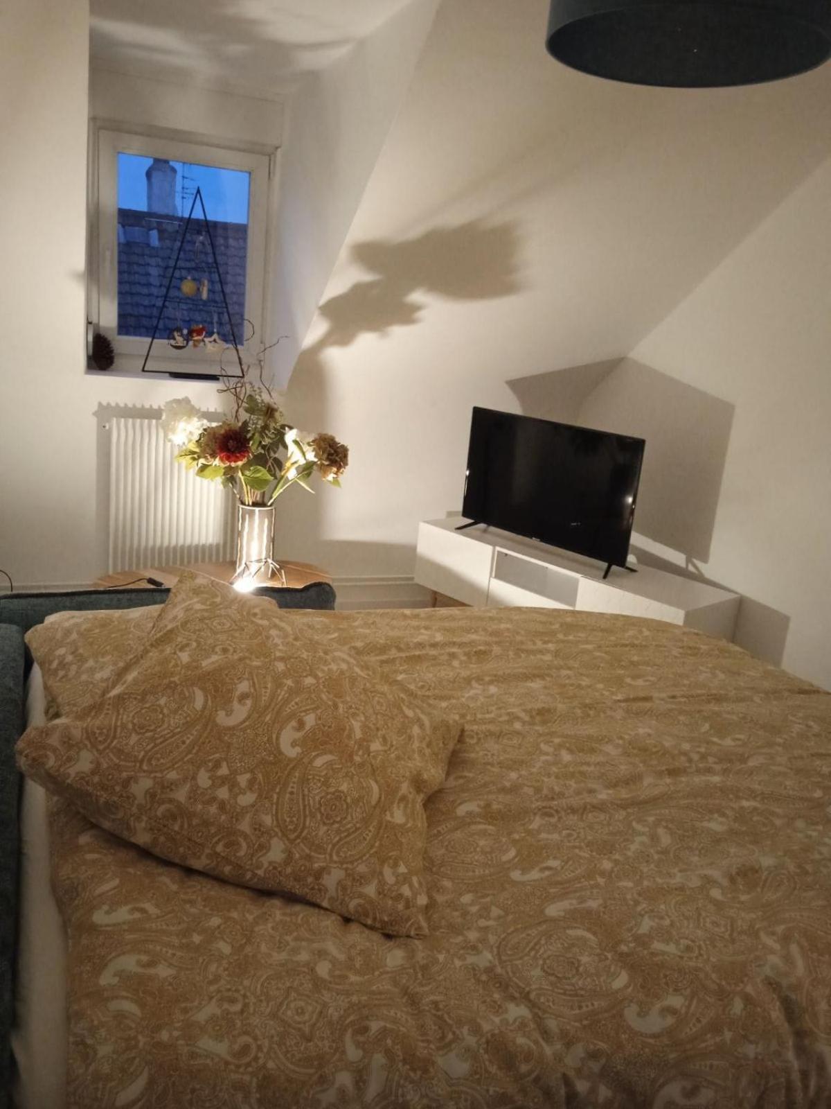 La Mulhousienne F3 Centre Ville Mulhouse Kültér fotó