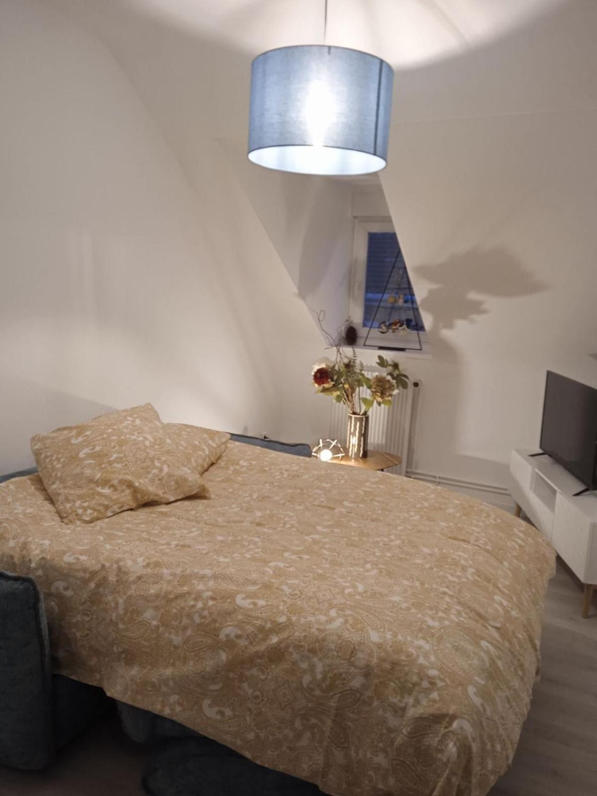 La Mulhousienne F3 Centre Ville Mulhouse Kültér fotó