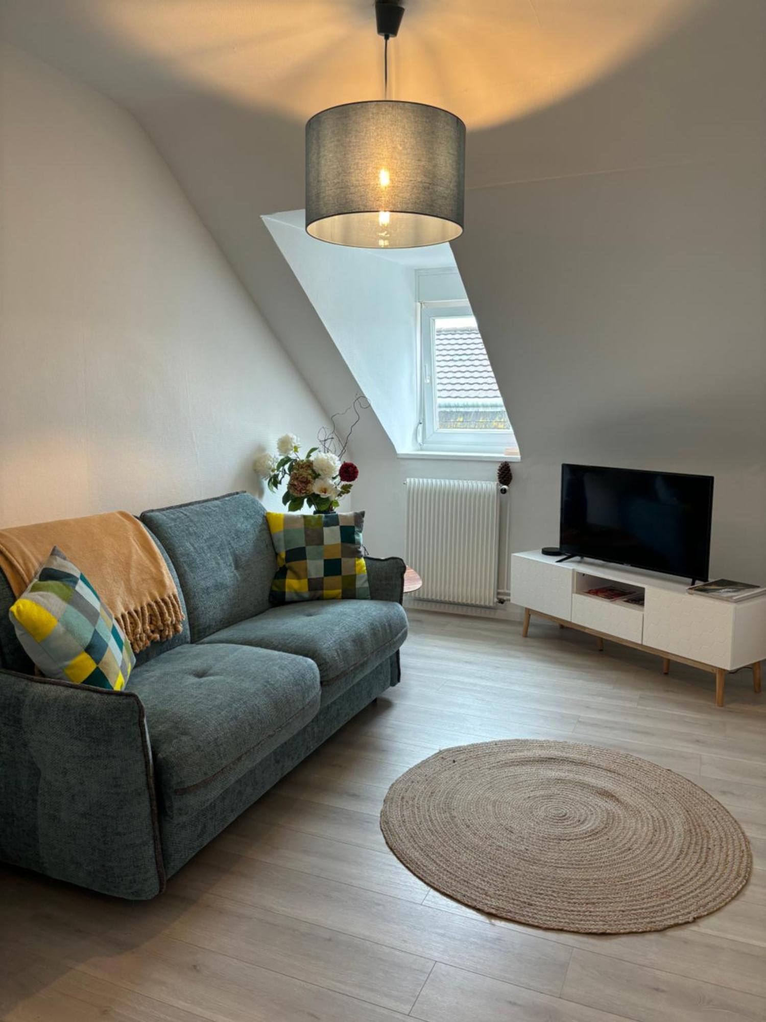 La Mulhousienne F3 Centre Ville Mulhouse Kültér fotó